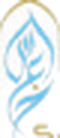 Partner logo 33